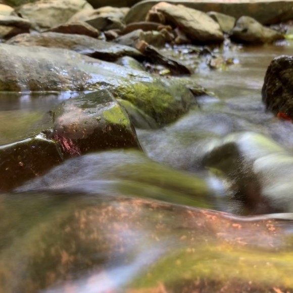 Meet your Posher, Kaitlin - Picture 1 of 1